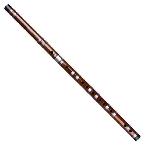 Bambusflöteninstrument Bambusflöte Musikinstrument für Anfänger und Profis(D) von ZALHIN