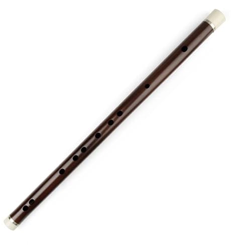 Bambusflöteninstrument Bambusflöte Professional für Anfänger und Instrument(F) von ZALHIN