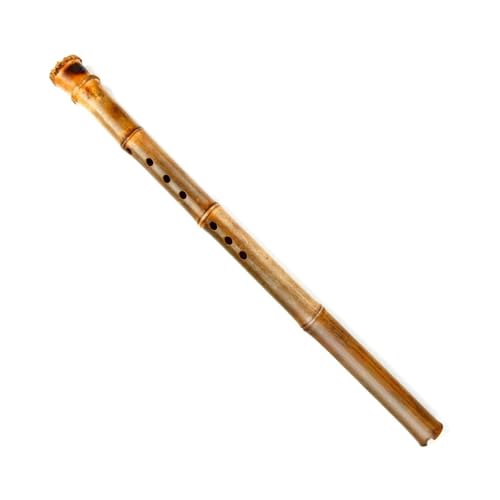 Bambusflöteninstrument Bambusflöte Tonart G Braun Traditionelles handgefertigtes Holzblasinstrument Bambusflöteninstrument Bambusflöte Tonart G Braun Traditionelles handgefertigtes Holzblasinstrument von ZALHIN