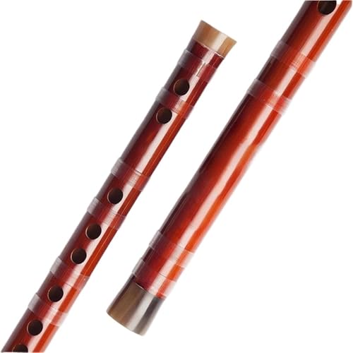 Bambusflöteninstrument Bambusflöte spielt professionelles Musikinstrument(F) von ZALHIN