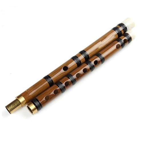 Bambusflöteninstrument Bambusflöte traditionelles Musikinstrument für Anfänger(C) von ZALHIN