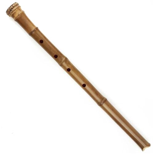 Bambusflöteninstrument Bambusflöte traditionelles handgefertigtes Holzblasinstrument D Tonart von ZALHIN
