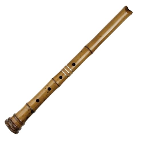 Bambusflöteninstrument D Tonart Zweiteilige Bambusflöte mit Tasche für professionelle Musikinstrumente Bambusflöteninstrument D Tonart Zweiteilige Bambusflöte mit Tasche für professionelle Musikinstrumente von ZALHIN