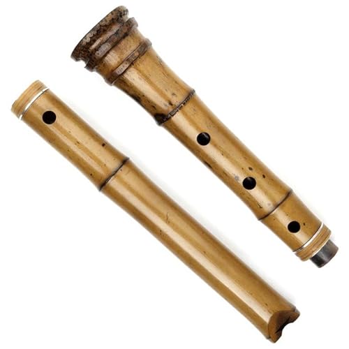 Bambusflöteninstrument D Tonart Zweiteilige Bambusflöte mit Tasche für professionelle Musikinstrumente von ZALHIN
