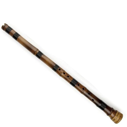 Bambusflöteninstrument G Tonart Traditionelles handgefertigtes Holzblasinstrument lila Bambusflöte Bambusflöteninstrument G Tonart Traditionelles handgefertigtes Holzblasinstrument lila Bambusflöte von ZALHIN