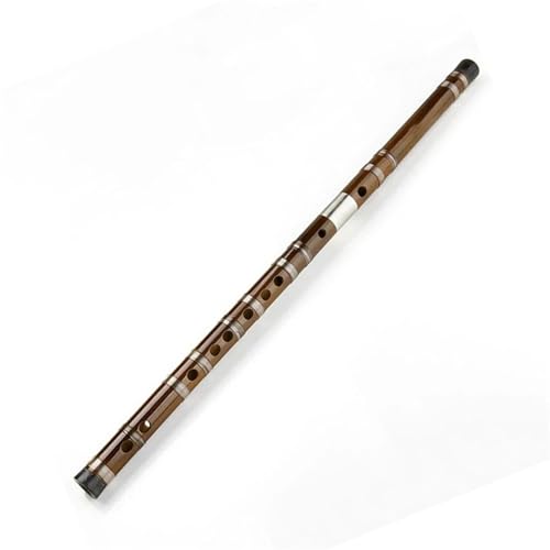 Bambusflöteninstrument Professionelle Bambusflöte für Aufführungsmusikinstrumente für Anfänger(D Key) von ZALHIN