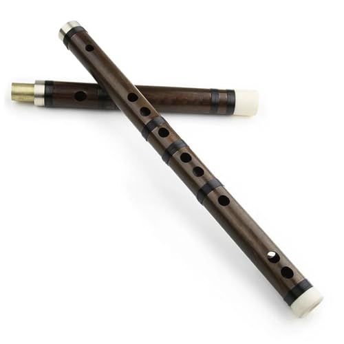 Bambusflöteninstrument Professionelle Bambusflöte für Musikinstrumente(D) von ZALHIN