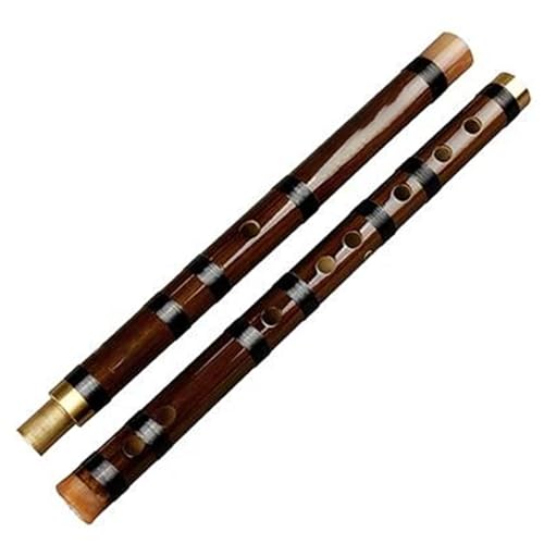 Bambusflöteninstrument Traditionelle handgefertigte Bambusflöte für Anfänger und Musikliebhaber(F) von ZALHIN