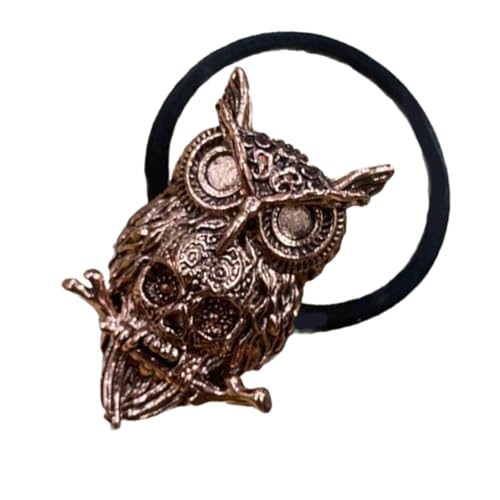 ZBIianxer Punkstile Metal Owl Schädel Haarband Cosplay Haarkrawatte Halloween Hair Accessoires ZBIianxer Punkstile Metal Owl Schädel Haarband Cosplay Haarkrawatte Halloween Hair Accessoires von ZBIianxer