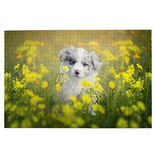 Puzzles 1000 Stück Australian Shepherd Dogs Einkaufszentrum White Puppy Holzpuzzle Spielzeug Familienspiel Wanddekoration für Erwachsene Teenager Puzzles 1000 Stück Australian Shepherd Dogs Einkaufszentrum White Puppy Holzpuzzle Spielzeug Familienspiel Wanddekoration für Erwachsene Teenager von ZCHW
