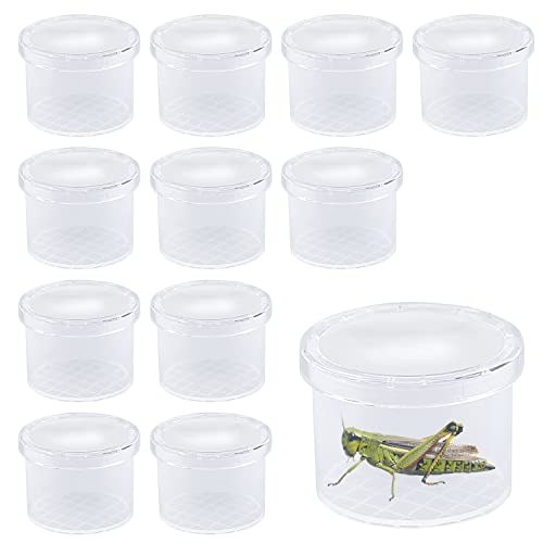 ZDNT 12 Stück Becherlupen für Kinder Insektenfang Set Insektenbeobachter Becherlupe Lupendose Insect Viewer Outdoor Spielzeug für Kinder Wissenschaft Biologie Naturerkundung ZDNT 12 Stück Becherlupen für Kinder Insektenfang Set Insektenbeobachter Becherlupe Lupendose Insect Viewer Outdoor Spielzeug für Kinder Wissenschaft Biologie Naturerkundung von ZDNT