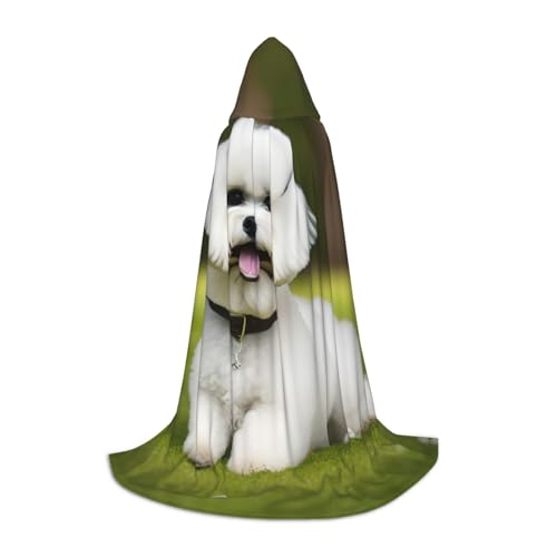 ZHAOLQ Süßer Bichon Frisé-Hunde-Aufdruck, Unisex, Kapuzenumhang, Robe, Halloween, Cosplay, Weihnachten, Karneval, tragbares Kostüm ZHAOLQ Süßer Bichon Frisé-Hunde-Aufdruck, Unisex, Kapuzenumhang, Robe, Halloween, Cosplay, Weihnachten, Karneval, tragbares Kostüm von ZHAOLQ
