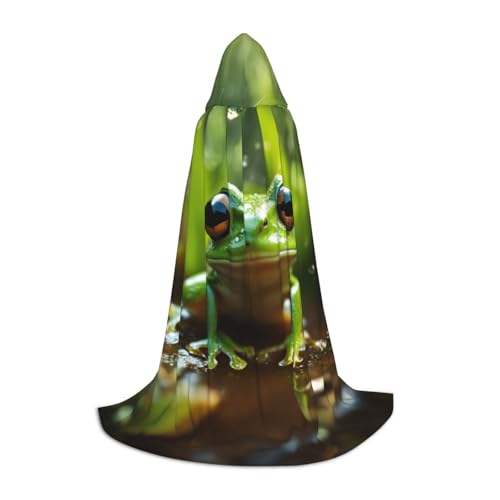 ZHAOLQ Unisex Kapuzenumhang mit Frosch- und Regenaufdruck, für Halloween, Cosplay, Weihnachten, Karneval, tragbares Kostüm von ZHAOLQ