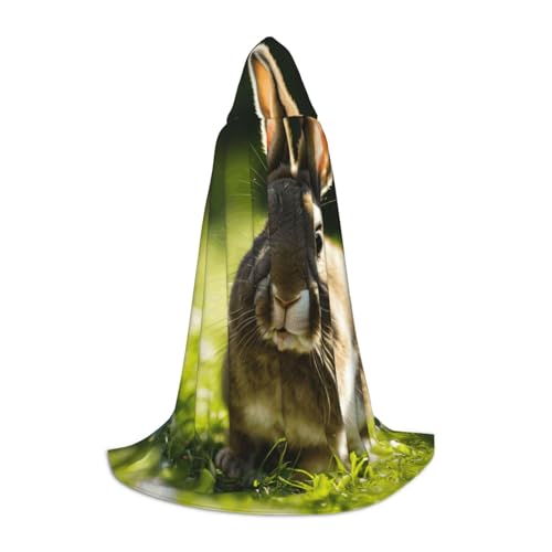 ZHAOLQ Unisex Kapuzenumhang mit Hasen-Motiv, für Halloween, Cosplay, Weihnachten, Karneval, tragbares Kostüm von ZHAOLQ