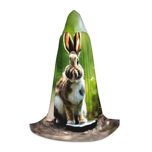 ZHAOLQ Unisex Kapuzenumhang mit Hasen-Motiv, für Halloween, Cosplay, Weihnachten, Karneval, tragbares Kostüm von ZHAOLQ