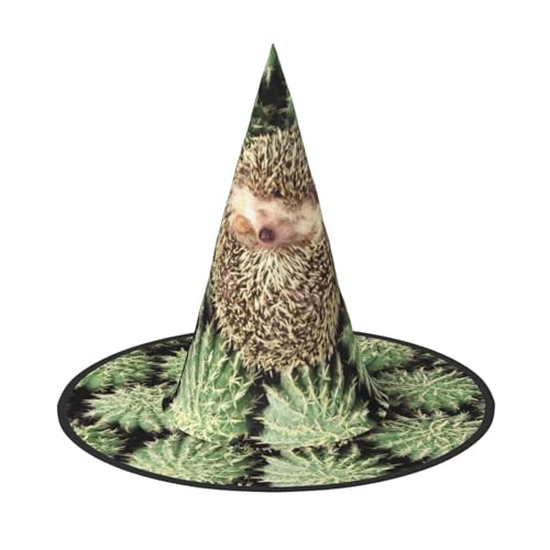 ZHAOUR 2 Stück Halloween-Hut – Igel, Kaktus-Druck, Hexen-Dekoration, Party, Cosplay, Rollenspiele, Karneval, Maskerade-Zubehör ZHAOUR 2 Stück Halloween-Hut – Igel, Kaktus-Druck, Hexen-Dekoration, Party, Cosplay, Rollenspiele, Karneval, Maskerade-Zubehör von ZHAOUR
