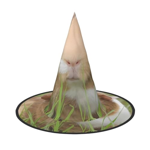 ZHAOUR 2 Stück Halloween-Hut – niedlicher Meerschweinchen-Druck, Hexen-Dekoration, Party, Cosplay, Rollenspiele, Karneval, Maskerade-Zubehör ZHAOUR 2 Stück Halloween-Hut – niedlicher Meerschweinchen-Druck, Hexen-Dekoration, Party, Cosplay, Rollenspiele, Karneval, Maskerade-Zubehör von ZHAOUR