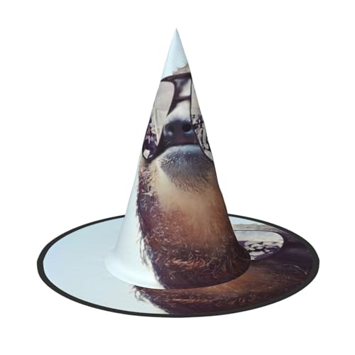 ZHAOUR Halloween-Hut – Faultier mit Sonnenbrille, Hexen-Dekor, Party, Cosplay, Rollenspiele, Karneval, Maskerade-Zubehör, 3 Stück von ZHAOUR