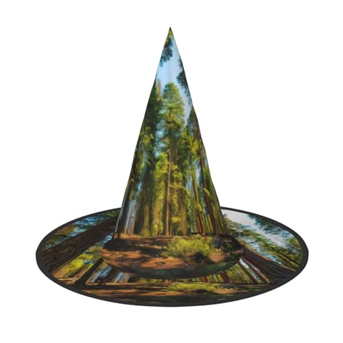 ZHAOUR Halloween-Hut – Natur-Zedern-Druck, Hexen-Dekoration, Party, Cosplay, Rollenspiele, Karneval, Maskerade-Zubehör, 3 Stück ZHAOUR Halloween-Hut – Natur-Zedern-Druck, Hexen-Dekoration, Party, Cosplay, Rollenspiele, Karneval, Maskerade-Zubehör, 3 Stück von ZHAOUR