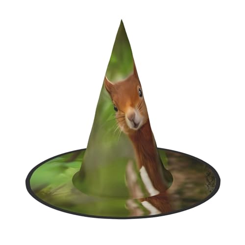 ZHAOUR Halloween-Hut mit Eichhörnchen-Druck, Hexen-Dekoration, Party, Cosplay, Rollenspiele, Karneval, Maskerade-Zubehör, 3 Stück ZHAOUR Halloween-Hut mit Eichhörnchen-Druck, Hexen-Dekoration, Party, Cosplay, Rollenspiele, Karneval, Maskerade-Zubehör, 3 Stück von ZHAOUR