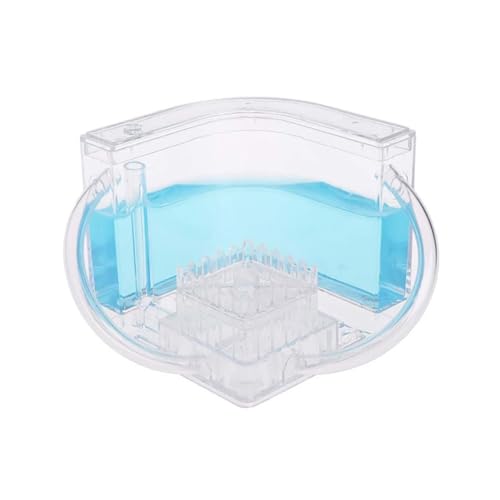 Ameisenarbeit Castle Transparent Plastic Anthill für Kinder Bildungsspielzeug (Blue) Kinderprodukte von ZHOUBINGBING