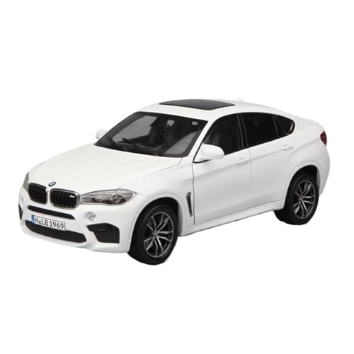 ZHRDWE Modellauto Metall 1/24 Für BMW X6 X6M SUV Coupe Legierung Druckguss Spielzeug Metall Fahrzeuge Auto Modell Jungen Und Jugendliche Geschenk Spielzeugauto(White) von ZHRDWE