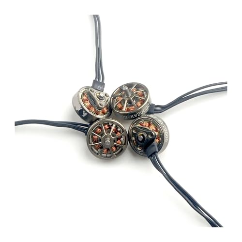 ZHUOHANG 4PCS EX1002 RS1002 20000KV 1S Bürstenlosen Motor 1,5mm for FPV Freestyle 75mm Tinywhoops Mobula7 1S Serie Upgraded(4PCS EX1002 20000KV) von ZHUOHANG