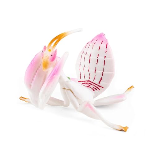ZIDDAR Simulation Farm Animal Insektenmodell Streich Spielzeug Frühe Bildung Kognitive Kindergeschenkgeschenk Requisiten von ZIDDAR