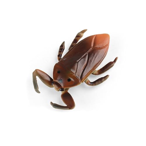 ZIDDAR Simulation Farm Animal Insektenmodell Streich Spielzeug Frühe Bildung Kognitive Kindergeschenkgeschenk Requisiten von ZIDDAR