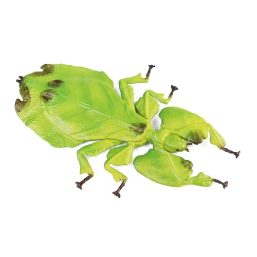 ZIDDAR Simulation Farm Animal Insektenmodell Streich Spielzeug Frühe Bildung Kognitive Kindergeschenkgeschenk Requisiten von ZIDDAR
