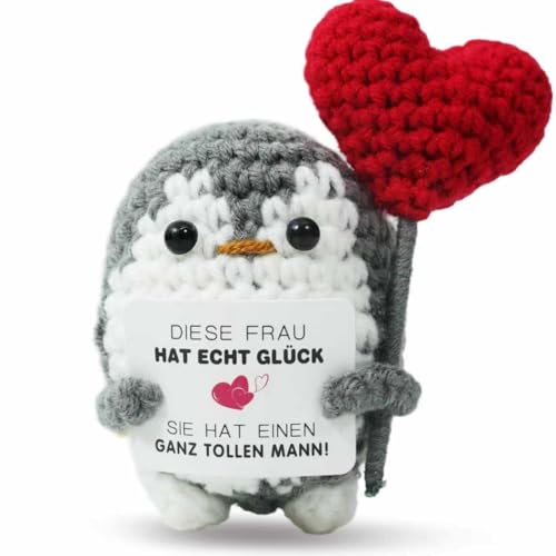ZIENZENGYA Ich Liebe Dich Geschenke für Frauen, Positive Pinguin Jahrestag Geschenk für Sie, Partner Geschenke für Freundin, Valentinstagsgeschenk(Rot) von ZIENZENGYA