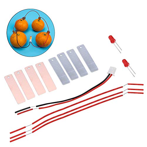 Fruit Battery Science Experiment Kit, Zitronenbatterie -Kit Physik Experiment Kit Kinder DIY Hausgemachte Obstbatterieleistung für Pädagogische Stromerzeugungsexperiment Fruit Battery Science Experiment Kit, Zitronenbatterie -Kit Physik Experiment Kit Kinder DIY Hausgemachte Obstbatterieleistung für Pädagogische Stromerzeugungsexperiment von ZJchao