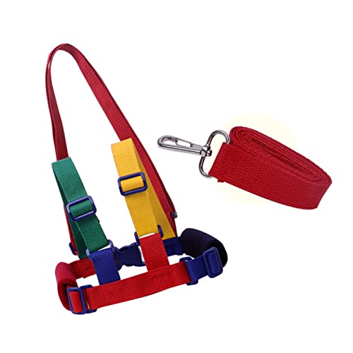 ZJchao Baby -Leine, Kinderleine für Kleinkinder Anti -Fall Anti Lost Walk Learning Belt Sicherheitswanderseil Kleinkindgurt mit Atmungsaktivem Kleinkindband von ZJchao