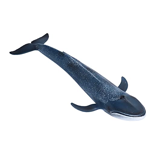ZJchao Blue Whale Figure Toy Marine Animal Ocean Figurine Modell für Erziehen über Marine Arten und Umwelt von ZJchao