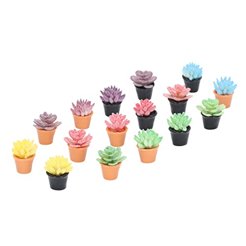 ZJchao Dollhouse -Pflanzen, 16pcs Dollhouse -Topfpflanzen mit Harz 1:12 Skalieres Lebensechtes Erscheinungsbild Lebendige Reiche Farben Miniaturpflanzen Miniaturpflanzen Miniaturblumentöpfe für ZJchao Dollhouse -Pflanzen, 16pcs Dollhouse -Topfpflanzen mit Harz 1:12 Skalieres Lebensechtes Erscheinungsbild Lebendige Reiche Farben Miniaturpflanzen Miniaturpflanzen Miniaturblumentöpfe für von ZJchao