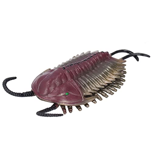 ZJchao Simuliertes Trilobitmodell Figurer Bildungsspielzeug für Alte Marine Tierfigur ZJchao Simuliertes Trilobitmodell Figurer Bildungsspielzeug für Alte Marine Tierfigur von ZJchao