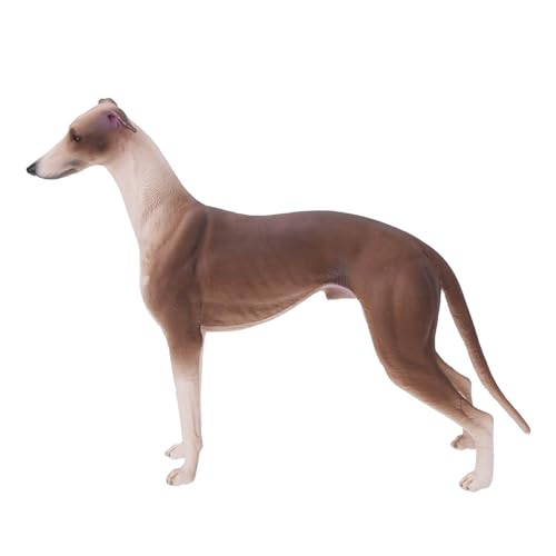ZJchao Windhund, Simulation Brauner Windhundmodell Ornamente Desktop Dekoration Kleine Figuren Wohnkultur Schreibtisch Ornament Spielzeug von ZJchao
