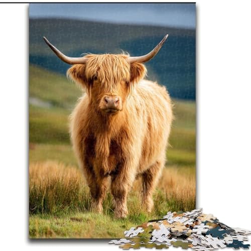 Puzzle für Erwachsene, 1000-teiliges Hochlandkuh-Puzzle für Erwachsene, Heimdekoration, Familienspaß, ab 14 Jahren, 26x38cm von ZKYUBEK