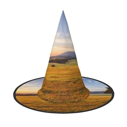 ZKZBDPLK Halloween-Spitzhut, Herbst, goldenes Gras, Landschaftsdruck, Halloween-Dekohut von ZKZBDPLK