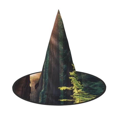 ZKZBDPLK Halloween-Spitzhut, Morgensonnenlicht in der Wildnis, bedruckt, Halloween-Dekohut von ZKZBDPLK