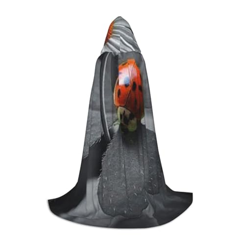 Zkzbdplk Ladybug Daisy Printed Long Hooded Cape For Teens Cosplay Role Party Festival Halloween Costumes Zkzbdplk Ladybug Daisy Printed Long Hooded Cape For Teens Cosplay Role Party Festival Halloween Costumes von ZKZBDPLK