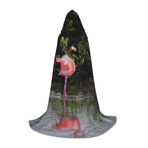 Zkzbdplk Two Flamingos Printed Long Hooded Cape For Teens Cosplay Role Party Festival Halloween Costumes Zkzbdplk Two Flamingos Printed Long Hooded Cape For Teens Cosplay Role Party Festival Halloween Costumes von ZKZBDPLK