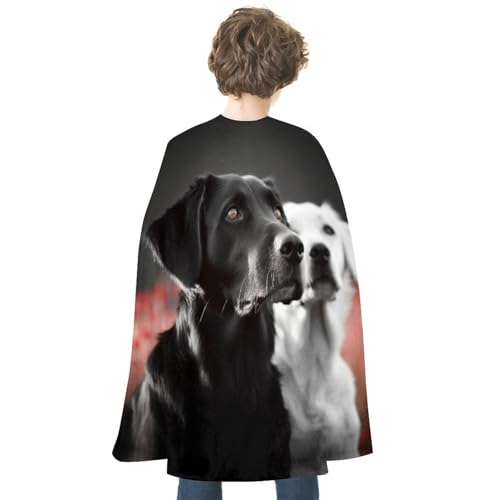 ZLFDSKGY Schwarz-weißer Hunde-Druck, doppelseitig, Cosplay-Kostüme, Umhang für Urlaub, Party, Abendparty, Damen und Herren ZLFDSKGY Schwarz-weißer Hunde-Druck, doppelseitig, Cosplay-Kostüme, Umhang für Urlaub, Party, Abendparty, Damen und Herren von ZLFDSKGY