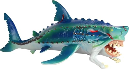 Tiefsee-Monsterfisch Spielzeug Kinder, Kinder Simulation Tiermodell,Spielzeug Monsterfisch Modell Hai Krokodil Mini Creatures Figur Fisch Maul Einziehbar Eldrador Monster Tiefsee-Monsterfisch Spielzeug Kinder, Kinder Simulation Tiermodell,Spielzeug Monsterfisch Modell Hai Krokodil Mini Creatures Figur Fisch Maul Einziehbar Eldrador Monster von ZMDMAH