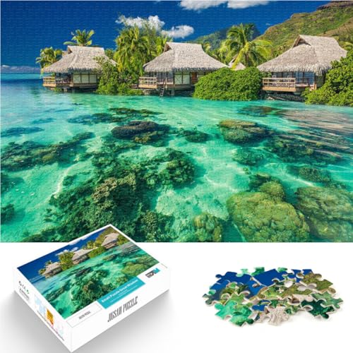 Puzzle 1000 Teile für Erwachsene Tropisches Paradies Aus Karton Geeignet für Kinder ab 14 Jahren Schönes DesignspielSchönes Designspiel EIN Kunstwerk。Größe:38x52cm/14.9x20.4Zoll Puzzle 1000 Teile für Erwachsene Tropisches Paradies Aus Karton Geeignet für Kinder ab 14 Jahren Schönes DesignspielSchönes Designspiel EIN Kunstwerk。Größe:38x52cm/14.9x20.4Zoll von ZONGJX