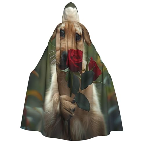 ZORIN Kapuzenumhang, Halloween-Kostüm, 150 cm, Robe mit Kapuze, Rosenmund, niedlicher Uni-Kostüm, Umhang für Halloween, Weihnachten, Cosplay-Party ZORIN Kapuzenumhang, Halloween-Kostüm, 150 cm, Robe mit Kapuze, Rosenmund, niedlicher Uni-Kostüm, Umhang für Halloween, Weihnachten, Cosplay-Party von ZORIN