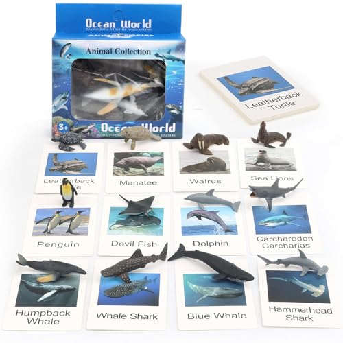 ZOSIGN Meerestiere Figuren, 12 Stück Meerestiere Spielzeug, Realistische Tiere Figuren mit Flash-Karten, Meerestiere Spielzeug, Kreativ Lernspielzeug, für Kinder Jungen und Mädchen ZOSIGN Meerestiere Figuren, 12 Stück Meerestiere Spielzeug, Realistische Tiere Figuren mit Flash-Karten, Meerestiere Spielzeug, Kreativ Lernspielzeug, für Kinder Jungen und Mädchen von ZOSIGN