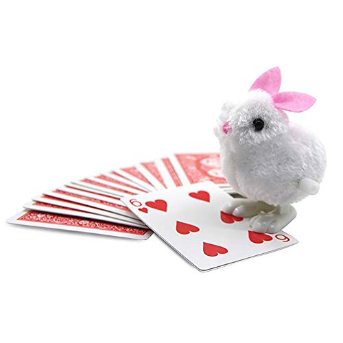 ZQION Kaninchen sucht nach Karten Vorhersage Nahaufnahme Illusion Gimmick Requisiten Zaubertricks Zaubertricks Magier Comedy von ZQION
