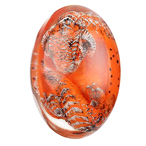 ZQLALA Lava Dragon Egg,Lava Dinosaurier Ei Ornament, mysteriöses Kristall Drachenei, Kinder Harz Dinosaurier Ei Dekorationen Souvenir ZQLALA Lava Dragon Egg,Lava Dinosaurier Ei Ornament, mysteriöses Kristall Drachenei, Kinder Harz Dinosaurier Ei Dekorationen Souvenir von Eeneme