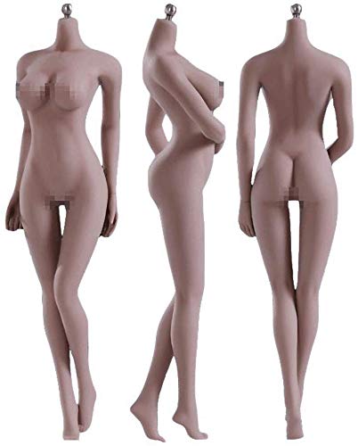 ZSMD 12" Female Seamless Action Figures-Realistic Full Silicone Body Suntan Skin & Stainless Steel Skeleton-1/6 Scale Super Flexible Female Figure Dolls for Arts/Drawings/Photography (S09C) von ZSMD